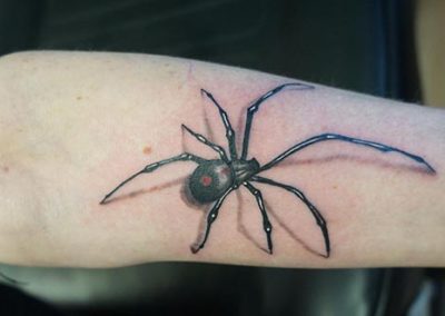 Spider realistic tattoo