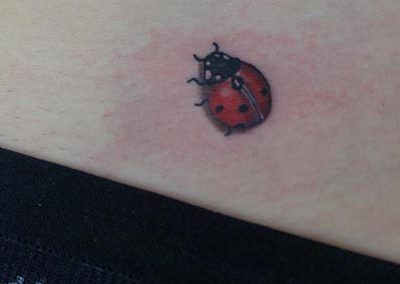 Lieveheersbeestje ladybug tattoo