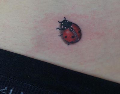 Lieveheersbeestje ladybug tattoo