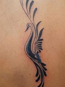 Peacock pauw tattoo